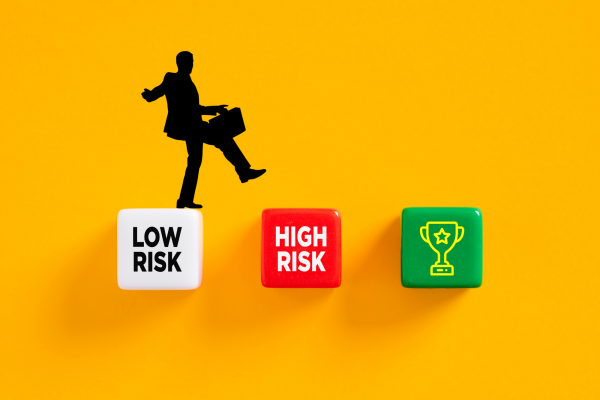 Software Risk Analysis