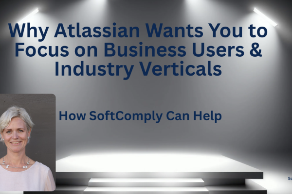 Solution Partners to verticals and business users